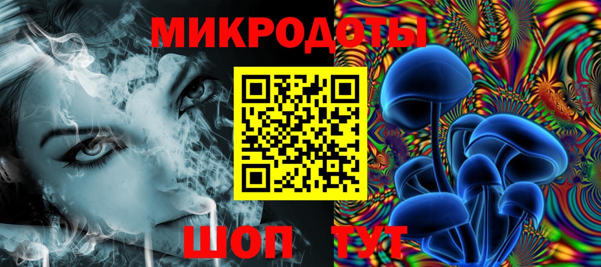 Братск  купить закладку  Вход с VPN  Галлюциногенные грибы Psilocybine cubensis  Псилоцибиновые грибы Cubensis 